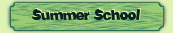 Summer School