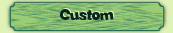 Custom